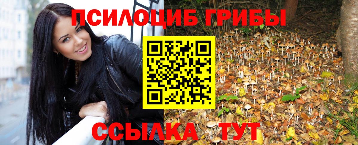 Галлюциногенные грибы Psilocybine cubensis Карачаевск