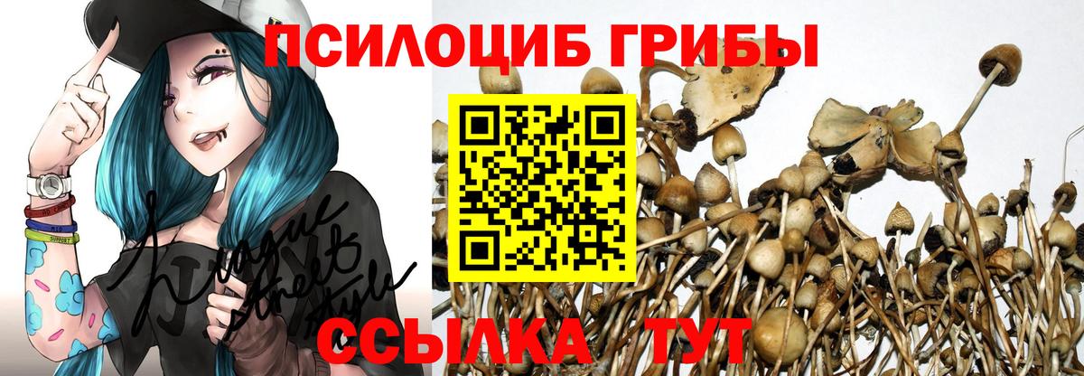 Псилоцибиновые грибы MAGIC MUSHROOMS  Вход с VPN  Карачаевск 
